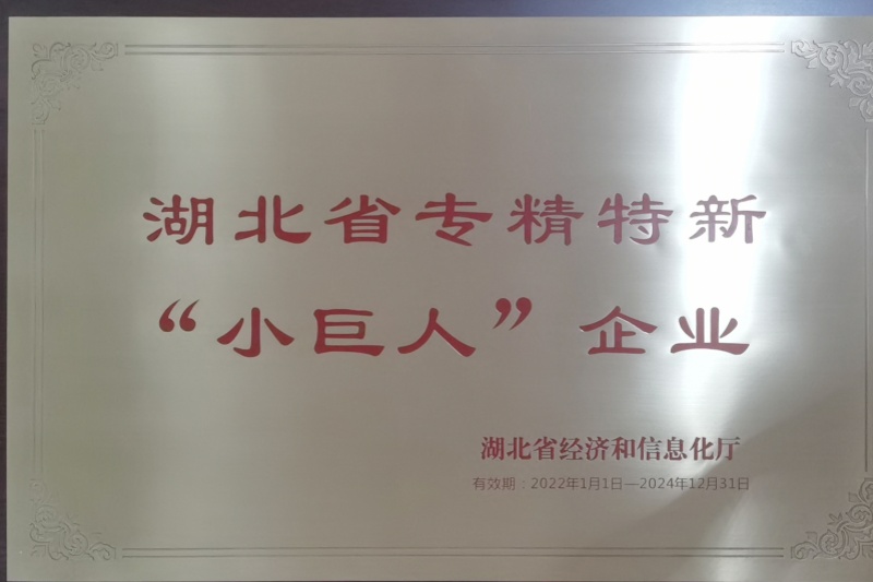 2022年公司獲得 湖北省專(zhuān)精特新“小巨人”企業(yè) 稱(chēng)號(hào)